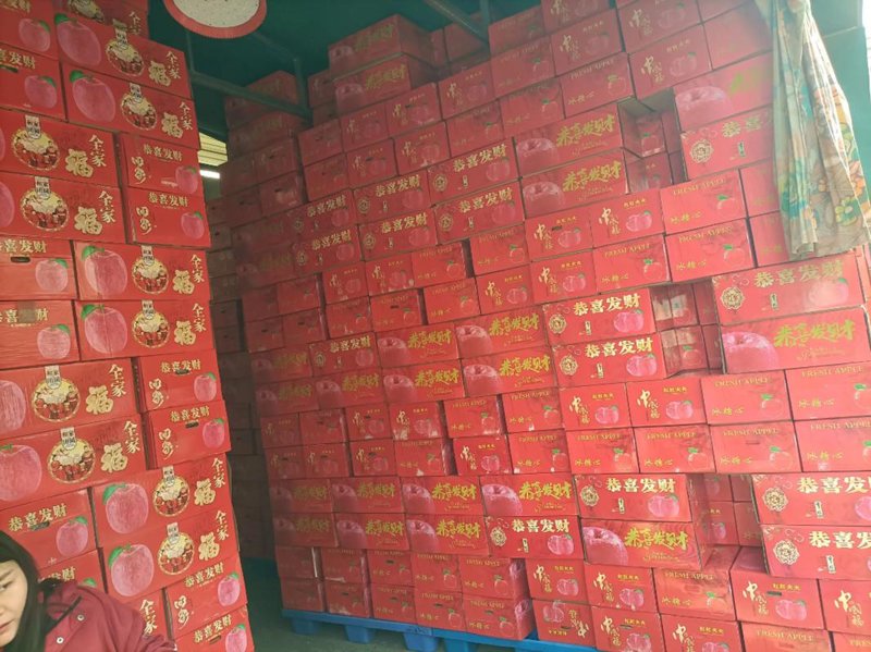 提高企业知名度的小秘籍：吉达森商贸的成功案例解析